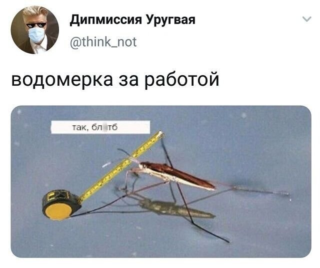 Скрины из соцсетей