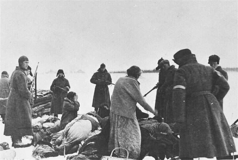 Колоски