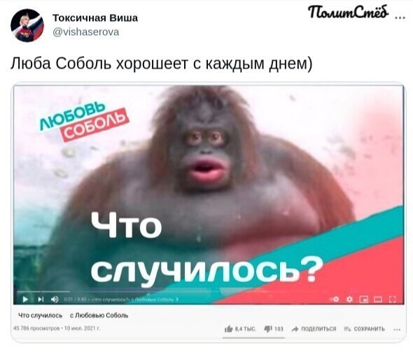 О политике и не только