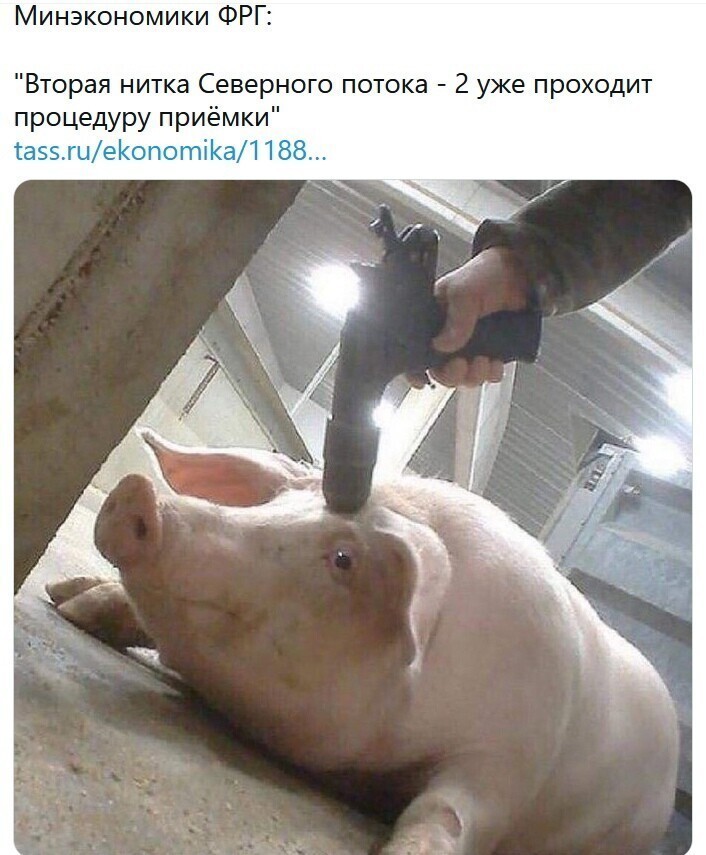 О политике и не только