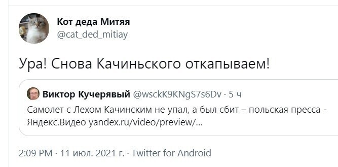 О политике и не только