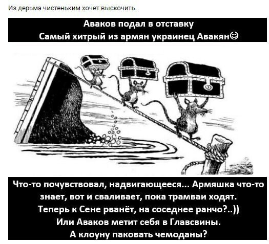 О политике и не только