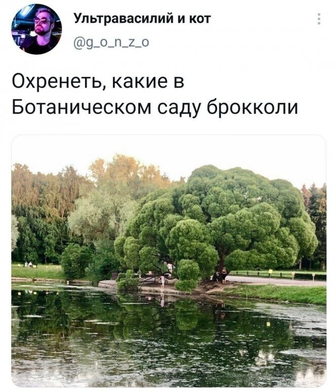 Скрины из соцсетей