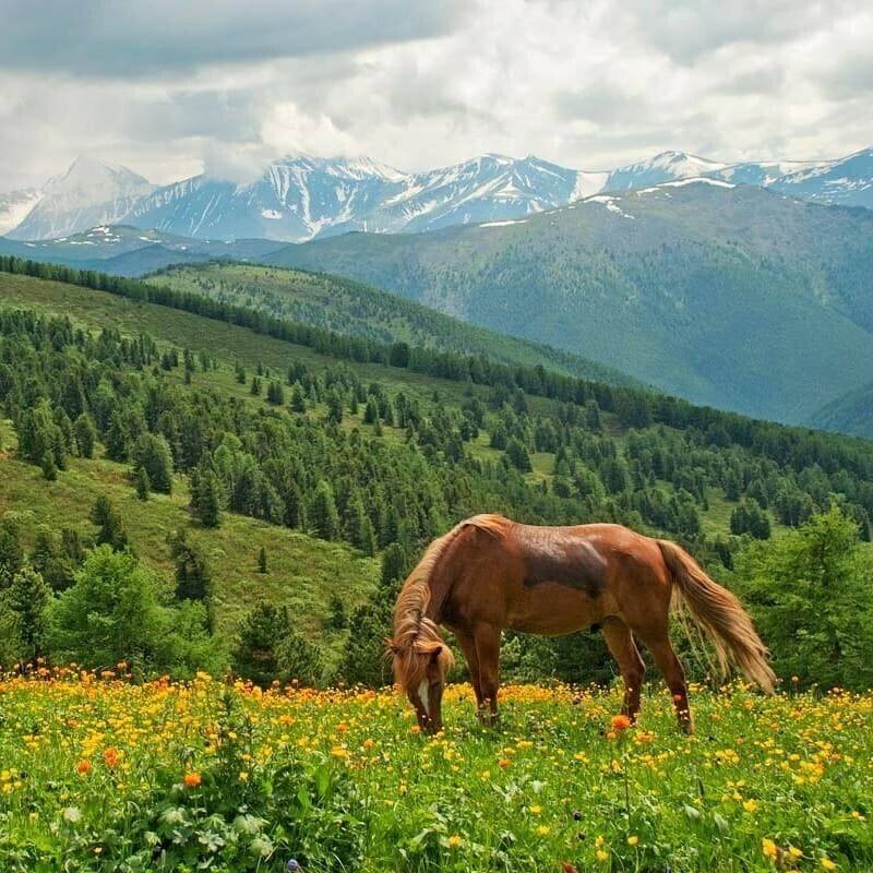 Везде находим позитив