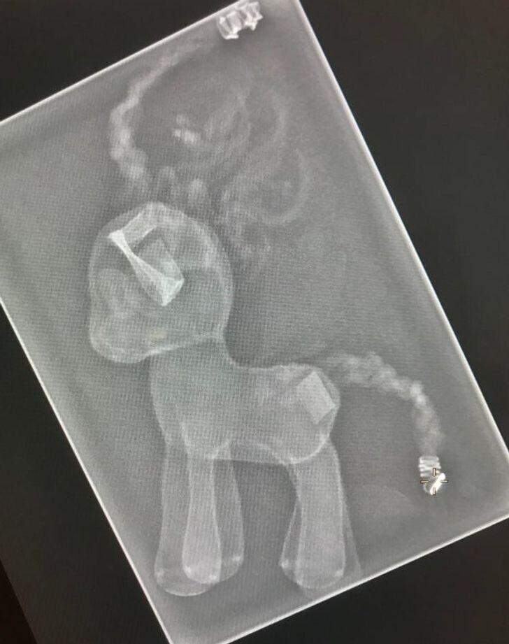 4. "Моя маленькая пациентка согласилась сделать рентген только после того, как я пообещал сделать рентген и ее игрушечному пони"