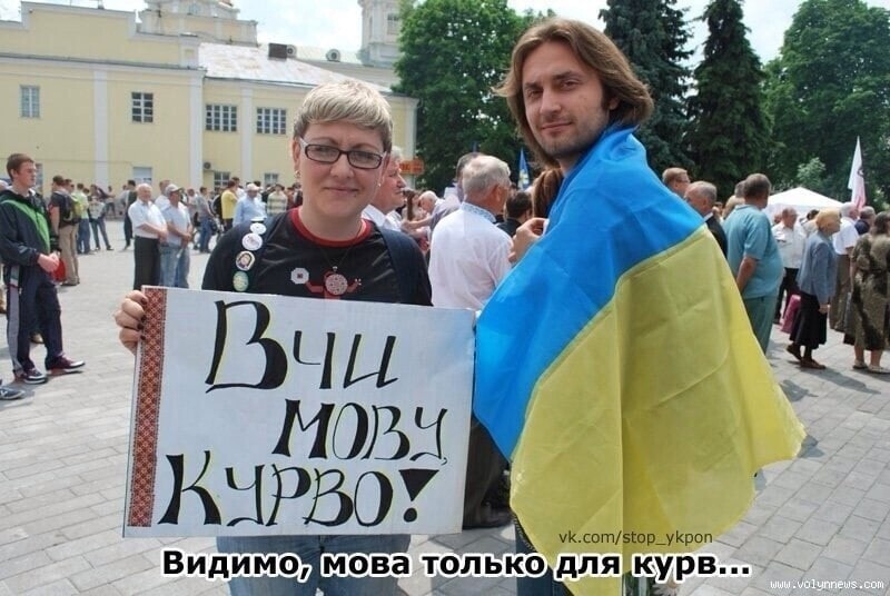 О политике и не только