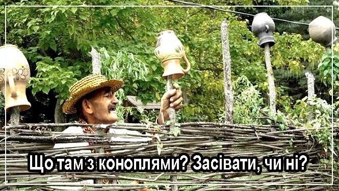 О политике и не только