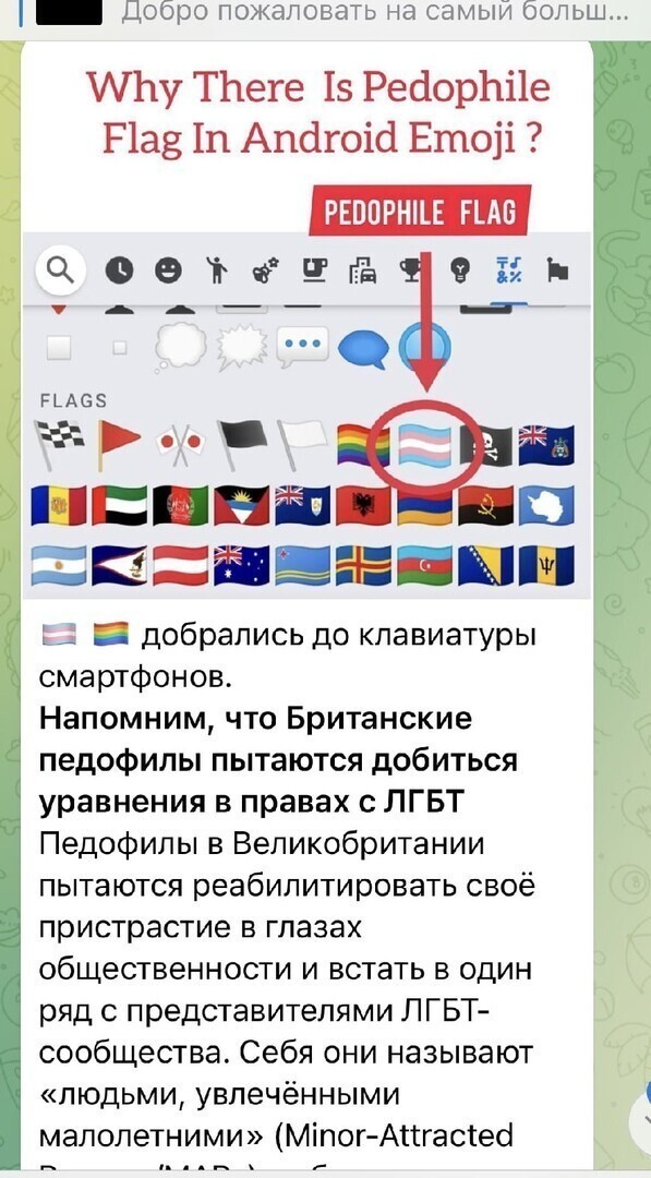О политике и не только