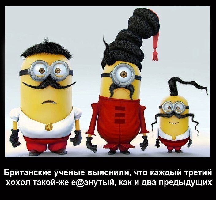 О политике и не только