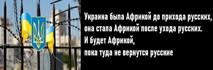 О политике и не только