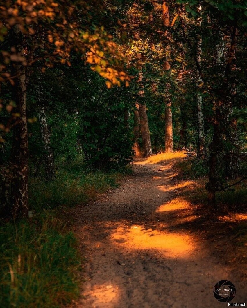 Дзержинский карьер