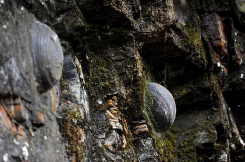 В Китае скала откладывает каменные яйца