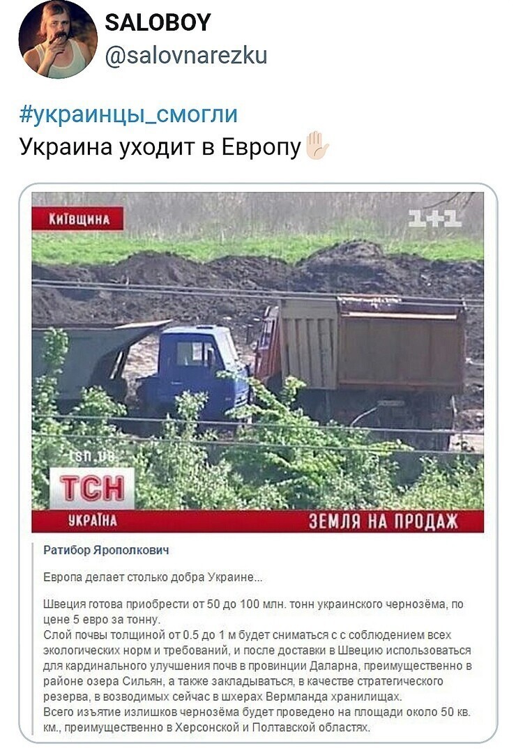 О политике и не только