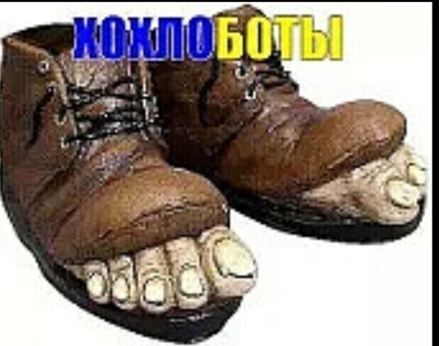 О политике и не только