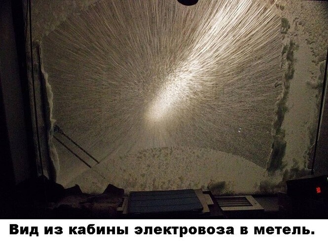 Смешные и познавательные картинки