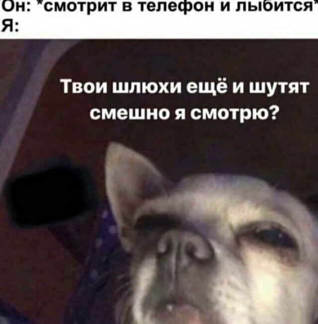 Скрины из соцсетей