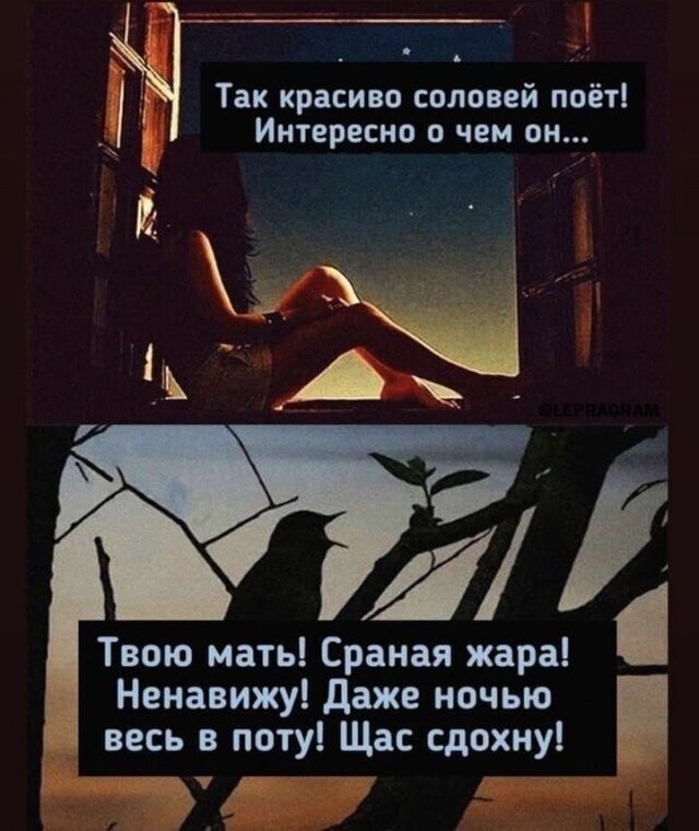 Скрины из соцсетей