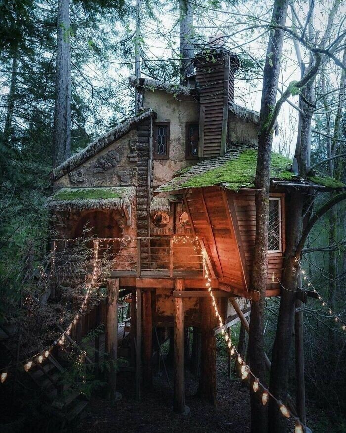 3. Ведьмин дом на дереве на тихоокеанском побережье Северной Америки