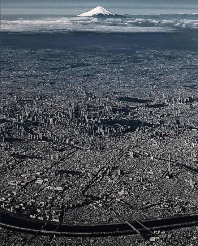 16. В Токио живет 14 миллионов человек