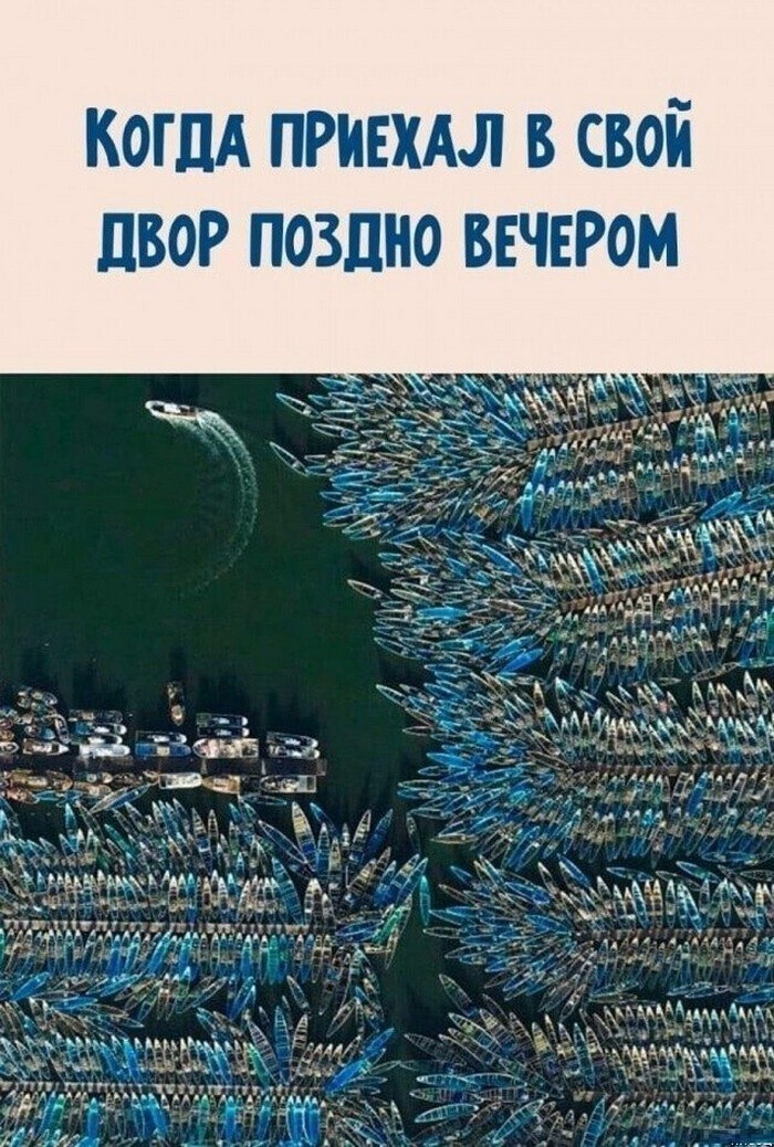 Не ищите здесь смысл. Здесь в основном маразм от АРОН за 22 июля 2021