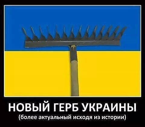 О политике и не только