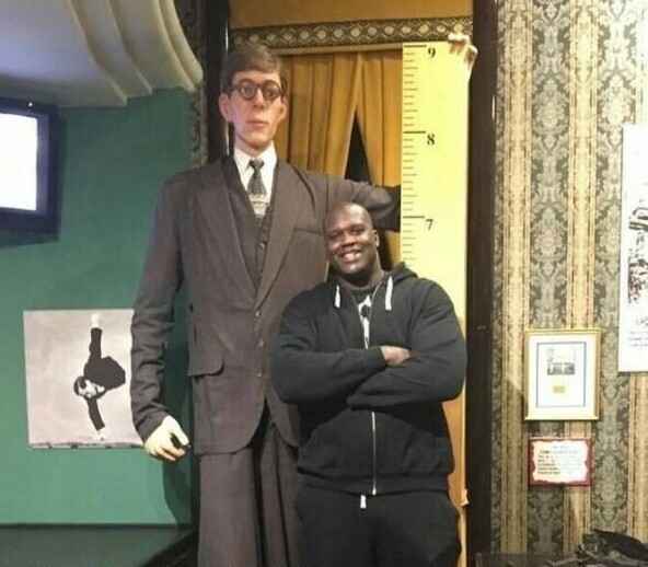 45. Шакил О'Нил (рост 2,16 м) рядом с картонной фигурой самого высокого зарегистрированного человека в истории Роберта Уодлоу (2,72 м)