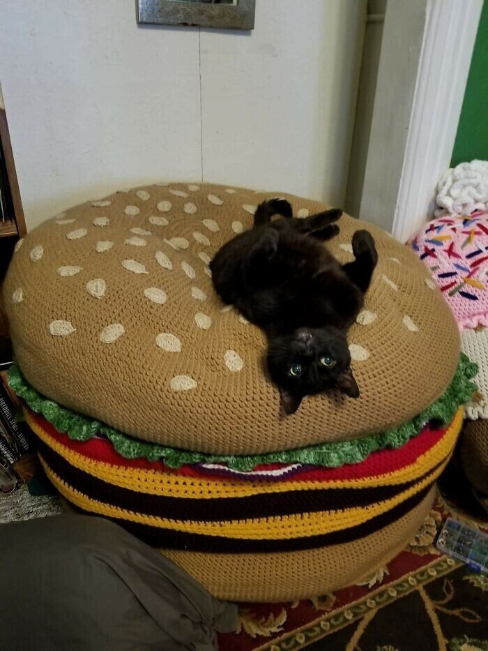 20. "Я связала чизбургер. Моя кошка его обожает"
