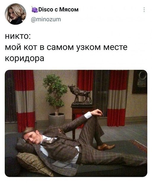 Смешные и познавательные картинки