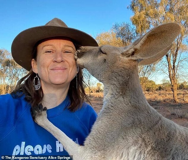 Благодарная кенгуру каждый день обнимает людей, которые ее спасли