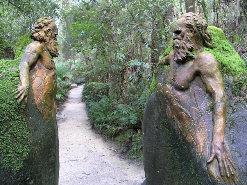 Откуда в Австралии взялись вросшие в камни и деревья скульптуры