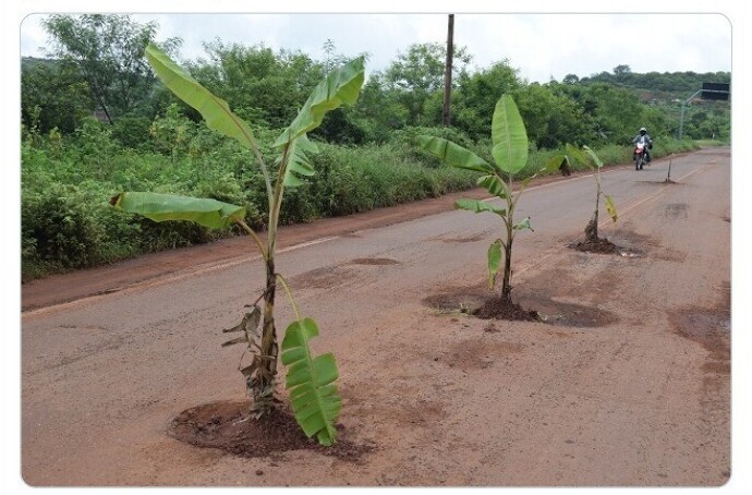 "У нас в Бразилии проблему дорожных ям решают с помощью бананов"