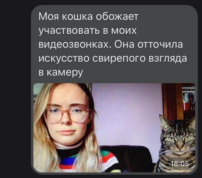 Скрины из соцсетей