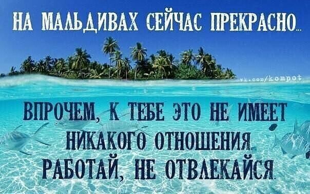 Лето, отпуск, позитив