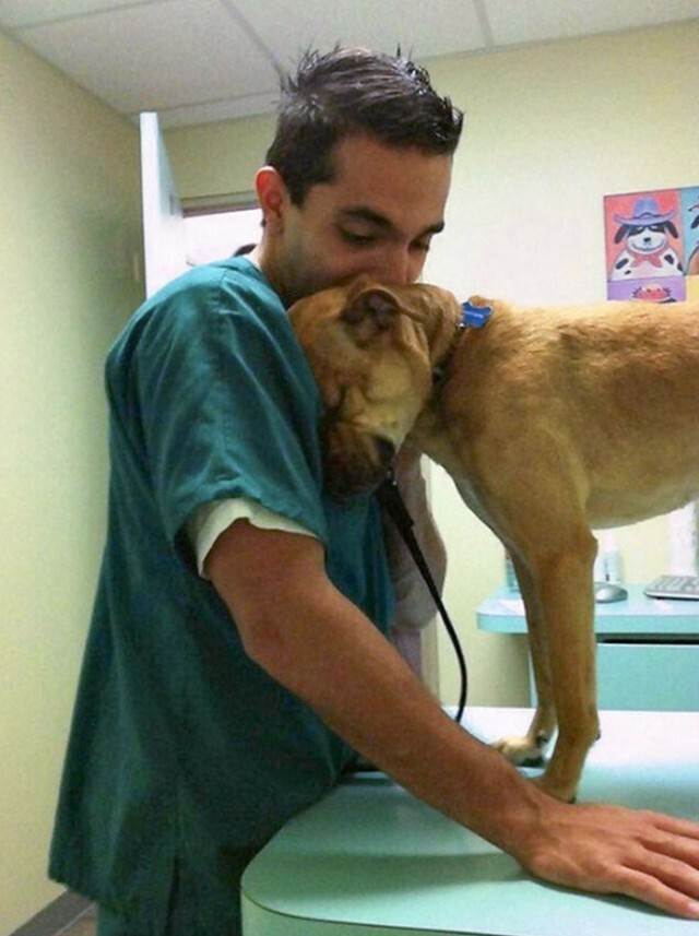20 очаровательных причин, почему работа ветеринаром окупается сполна