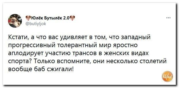 О политике и не только