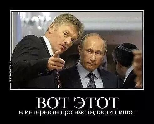 О политике и не только