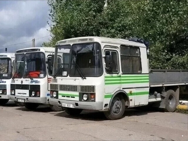 Автовсячина