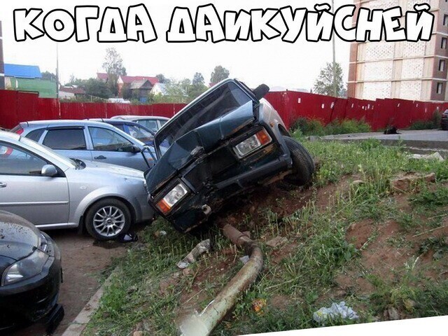 Автовсячина