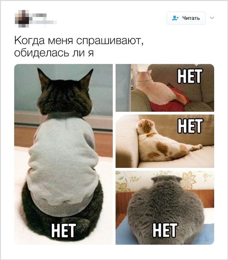 Безумная политота ( выпуск 1)