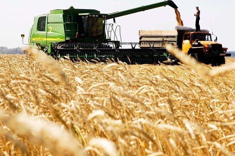 «Нас ждет дефицит зерна и рост цен на хлеб»?