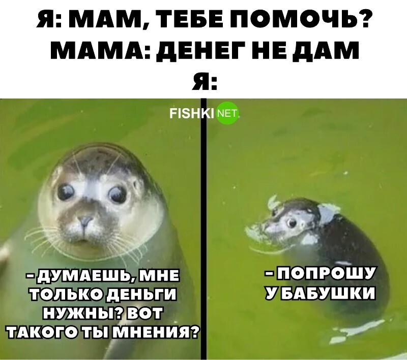 Ну а где же им брать деньги?