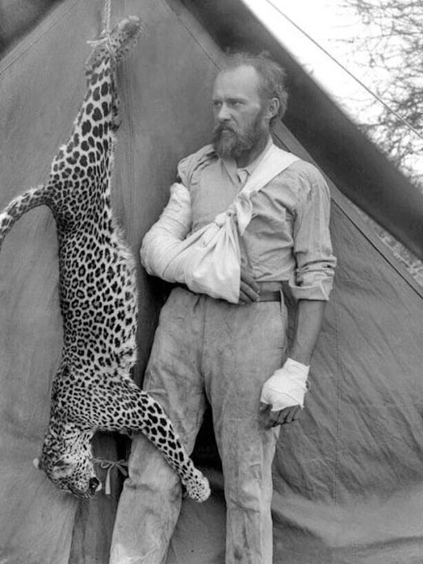 Известный борец за охрану природы, анималист и биолог Карл Эйкли с напавшим на него леопардом, которого он убил голыми руками
