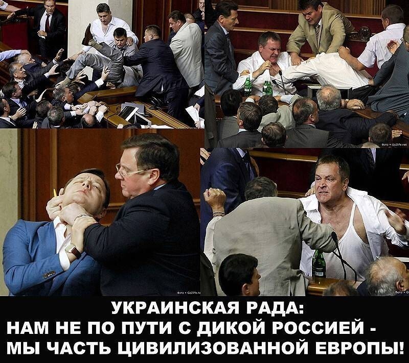 О политике и не только