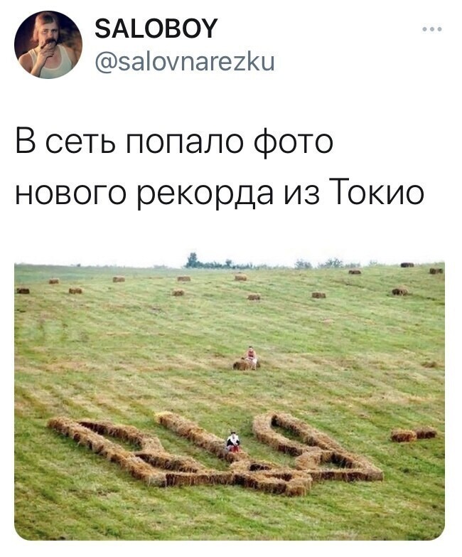 О политике и не только