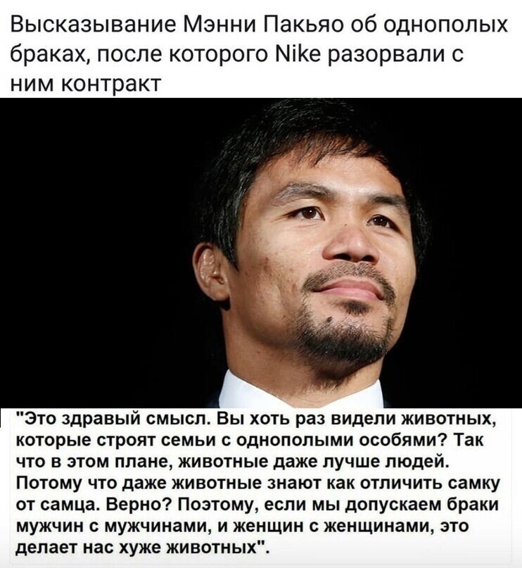 О политике и не только