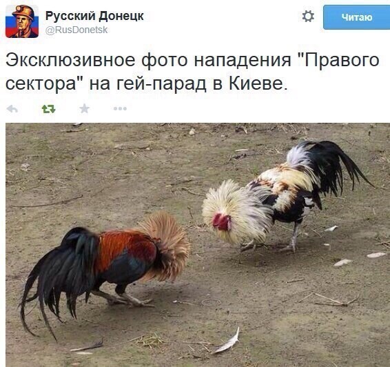 О политике и не только
