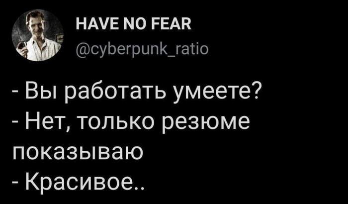 Вы продоёте рыбов?»: что за мем с котами и рыбой, на котором все разговаривают с ошибками