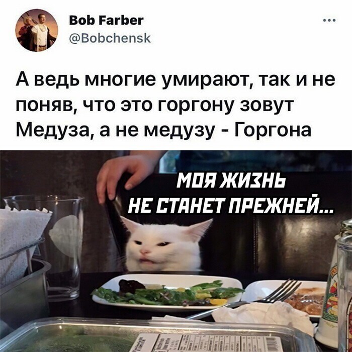 Скрины из соцсетей