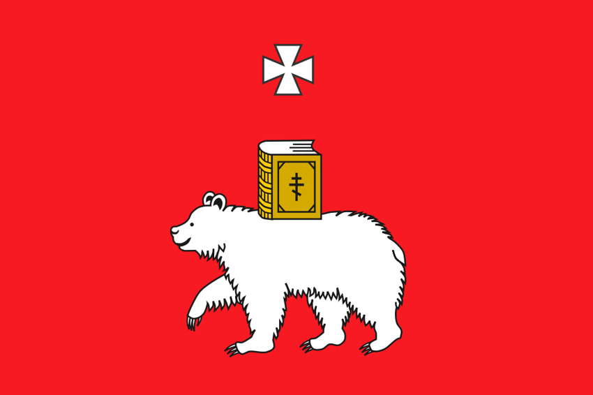 Это флаг какого крупного российского города?