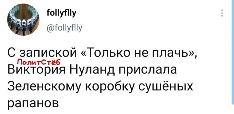 Безумная политота ( Вечерний выпуск №5)
